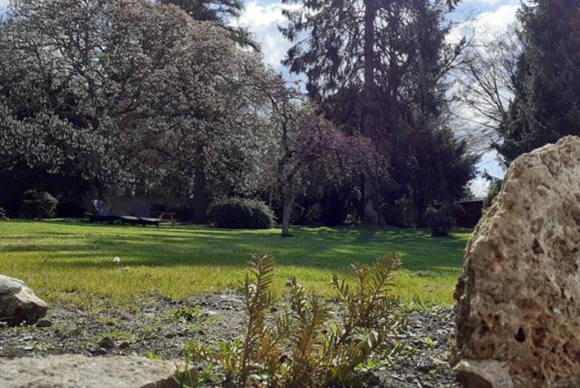 Les Appartements Fenelon Le Cateau-Cambresis Bagian luar foto