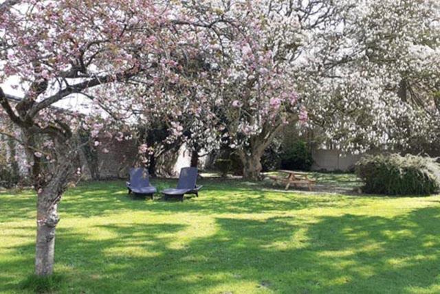 Les Appartements Fenelon Le Cateau-Cambresis Bagian luar foto